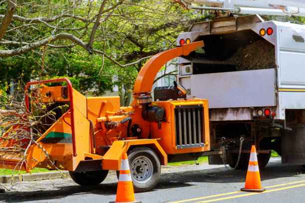 Best Tree Mulching Services  in Talty, TX